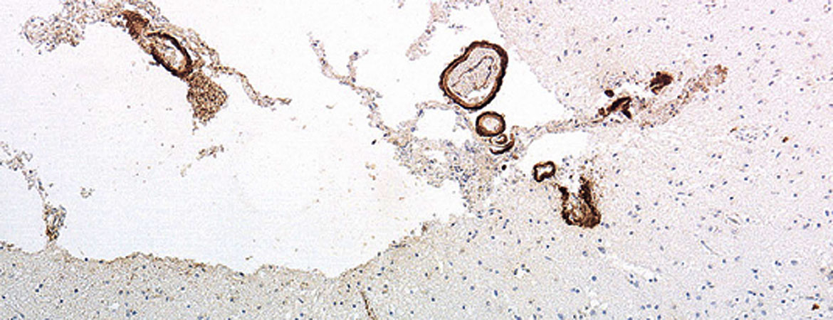 Publication image