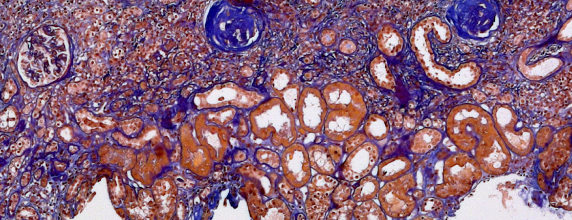 Publication image