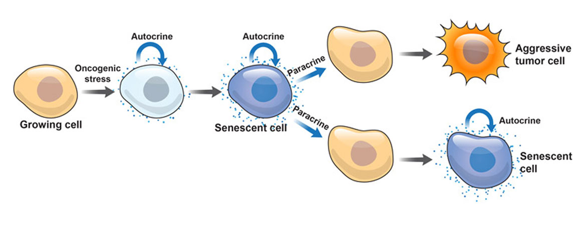 Publication image