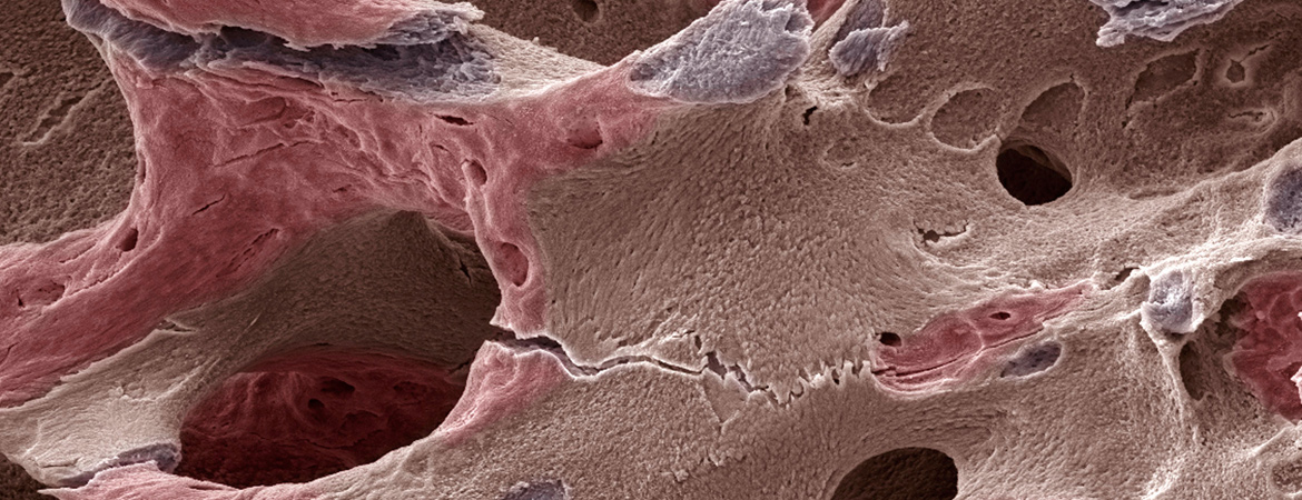 Publication image