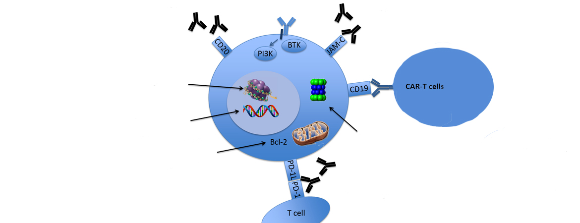 Publication image