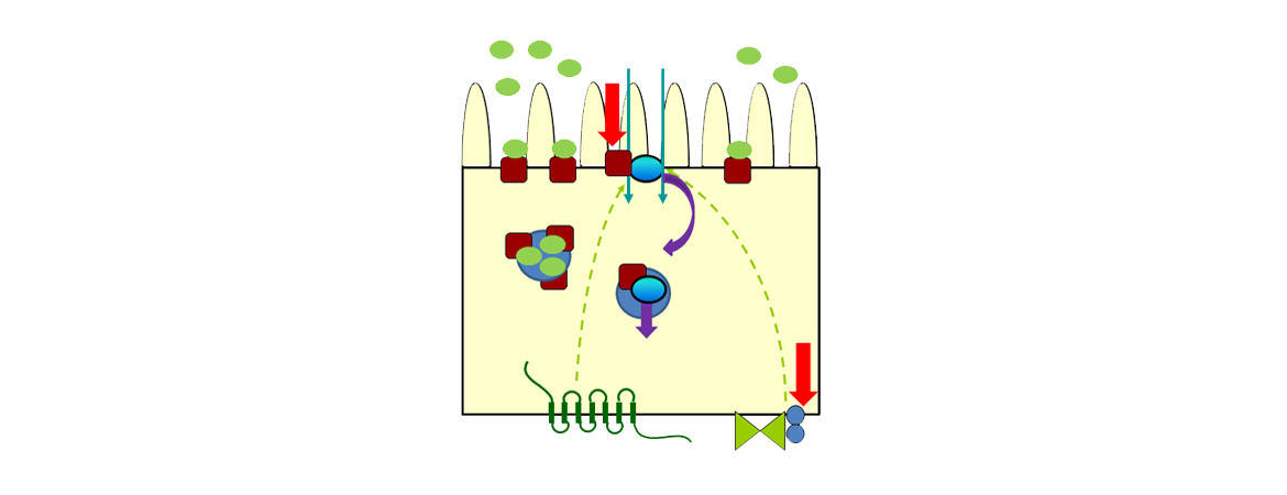 Publication image