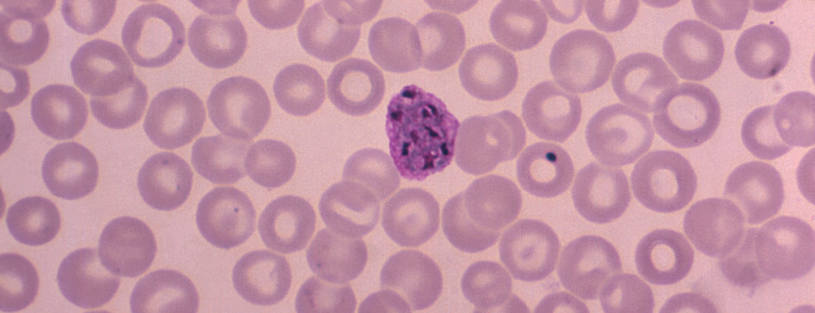 Publication image