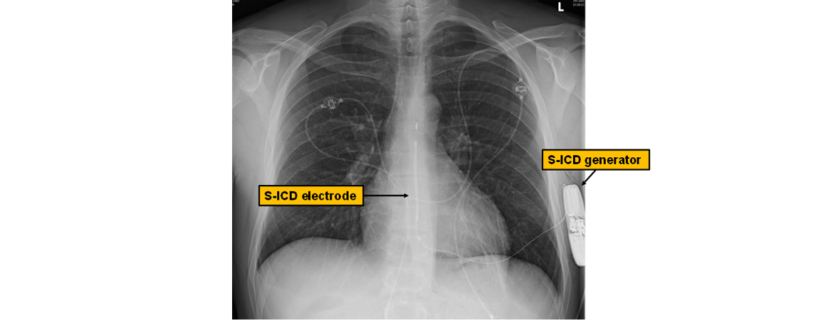 Publication image
