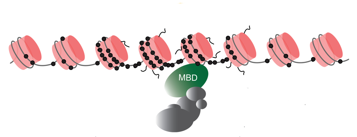 Publication image