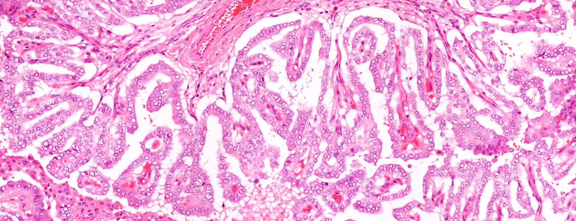 Publication image