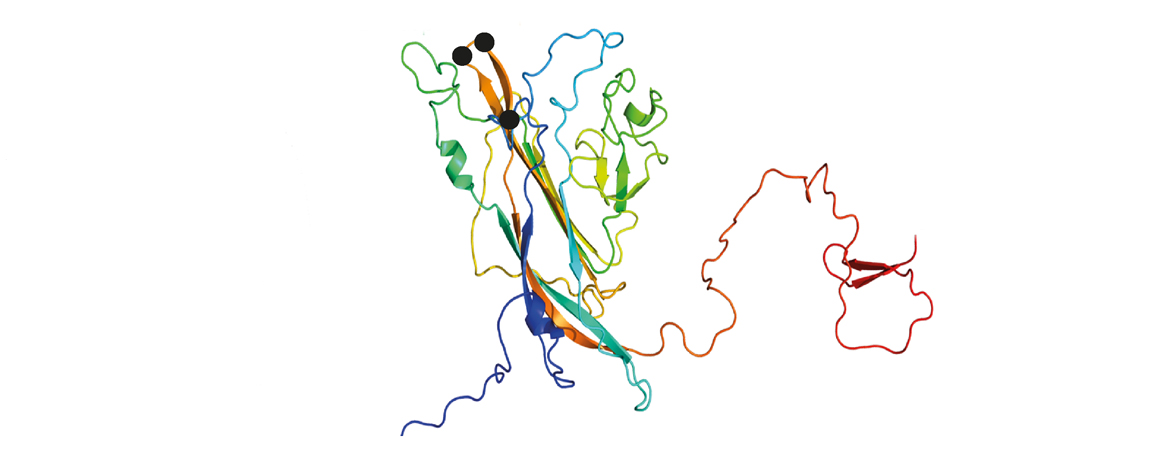 Publication image