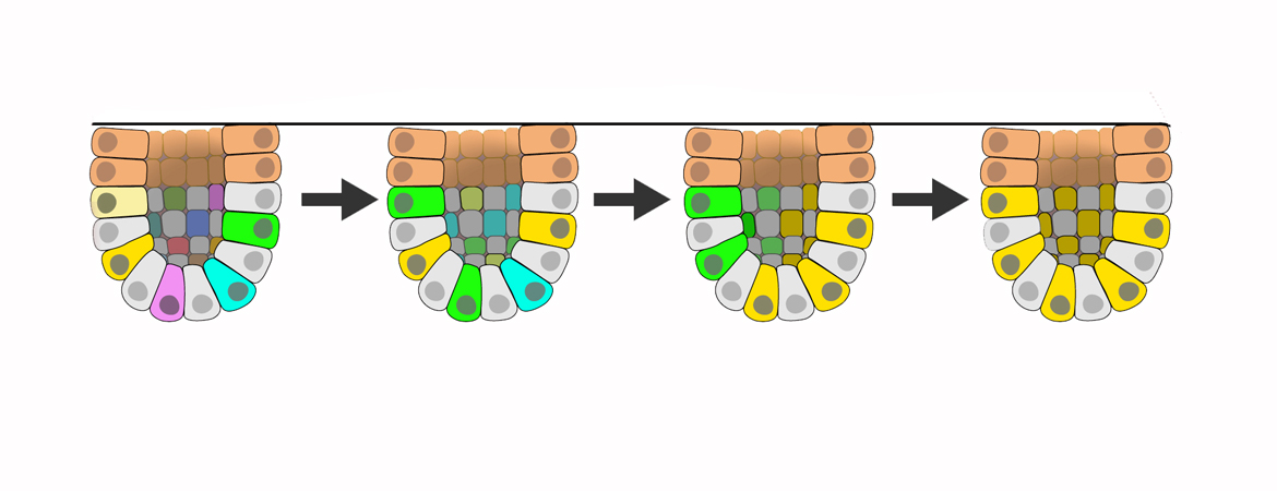 Publication image