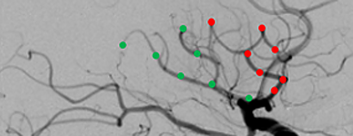 Publication image
