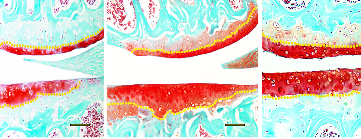 Publication image
