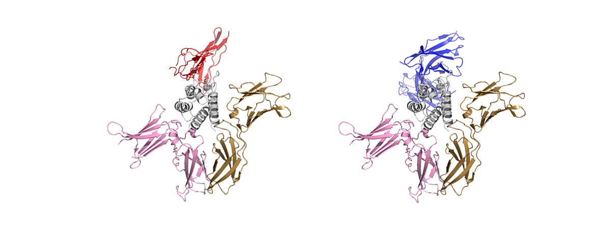 Publication image