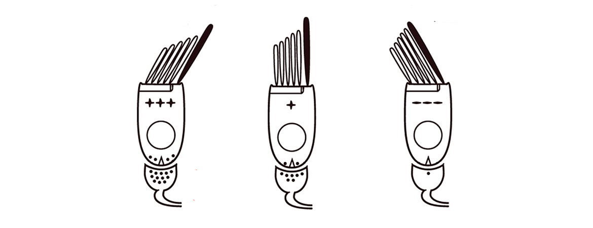 Publication image