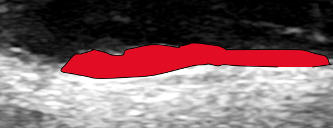 Publication image