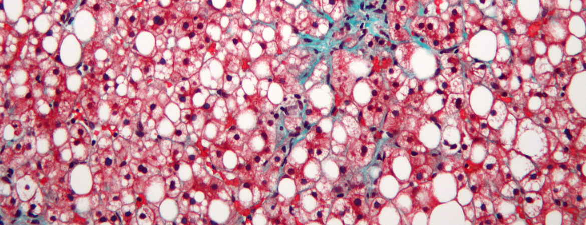 Publication image