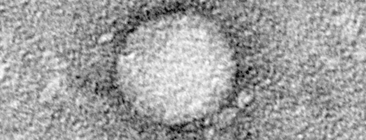 Publication image