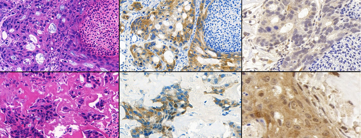 Publication image
