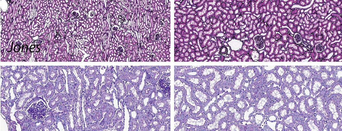Publication image
