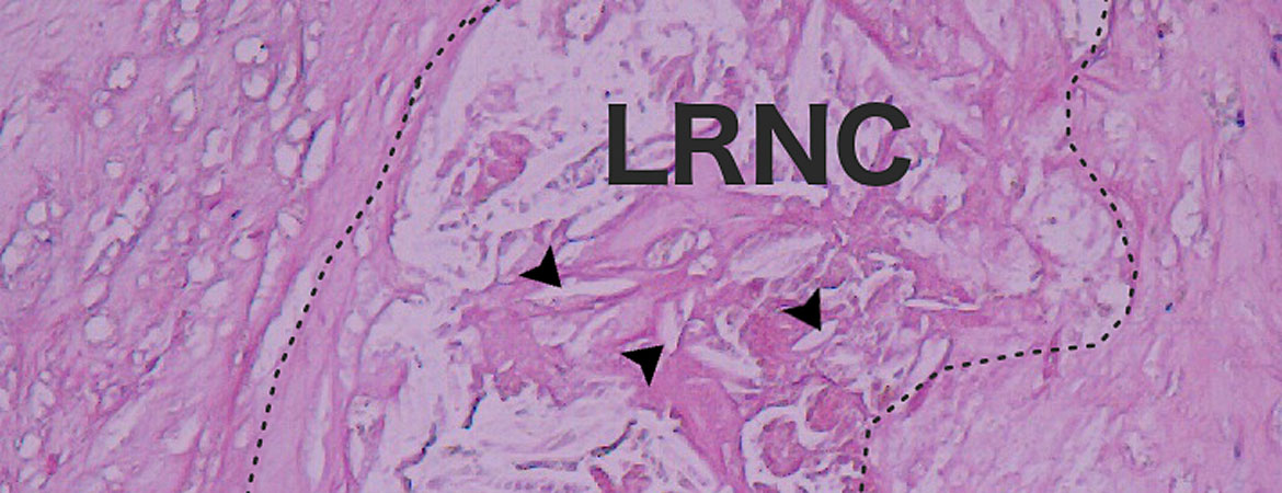 Publication image