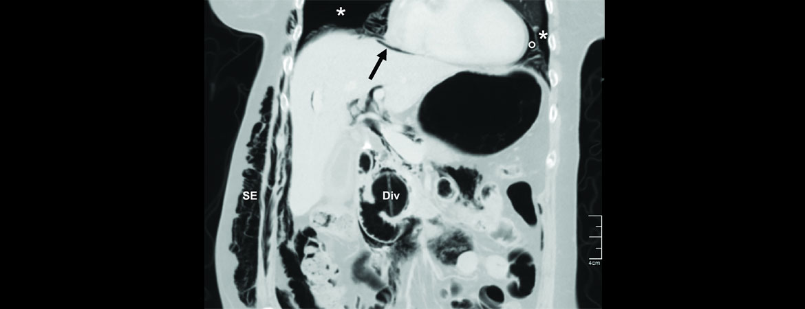 Publication image