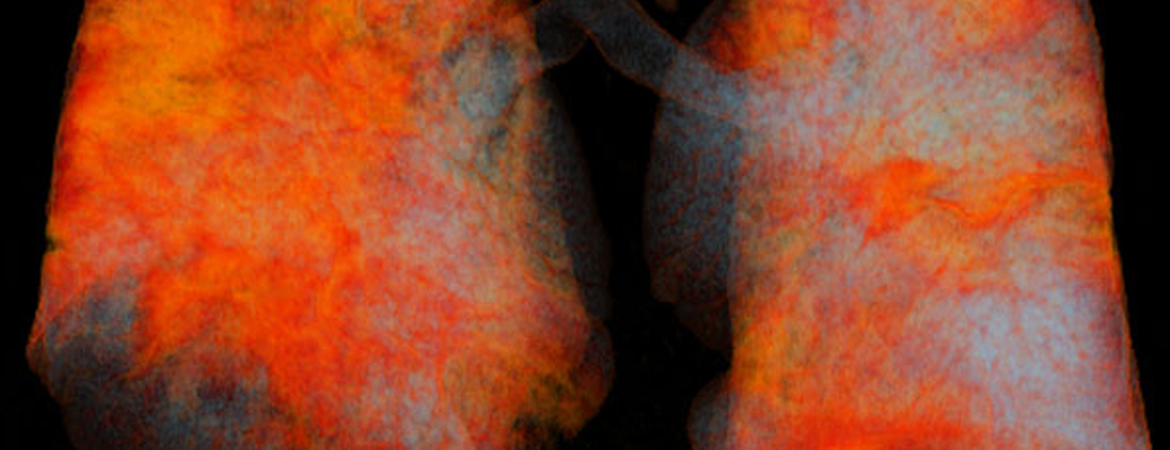 Publication image