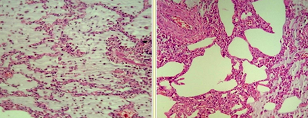 Publication image