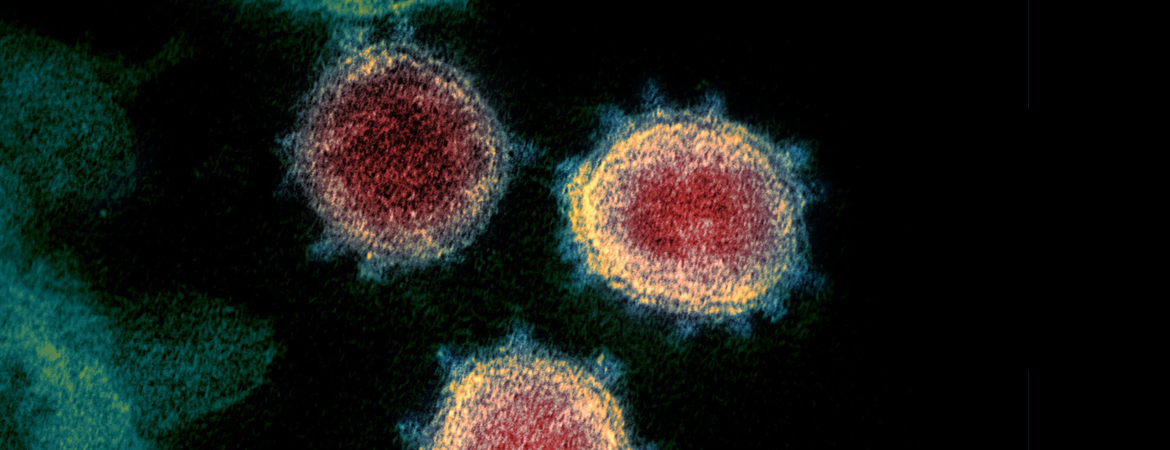 Publication image