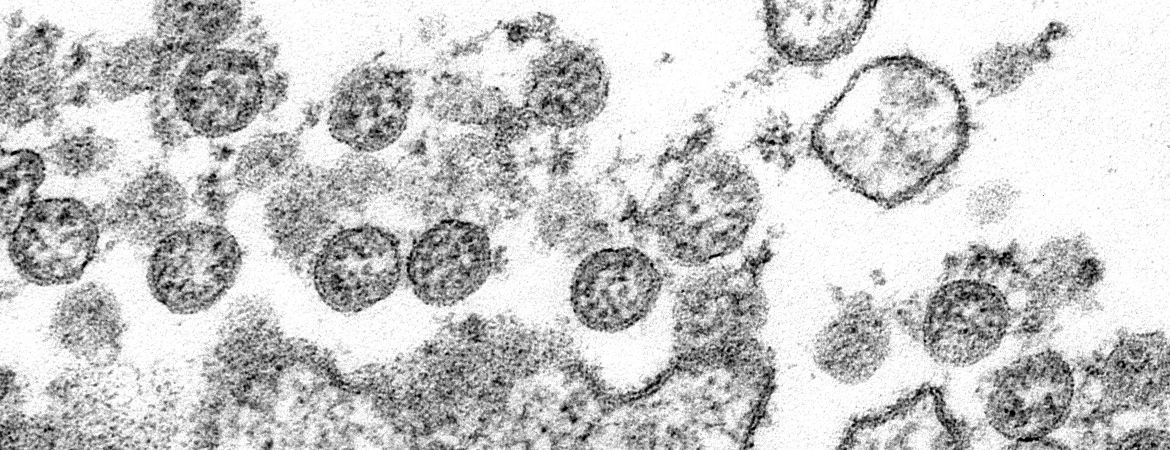 Publication image