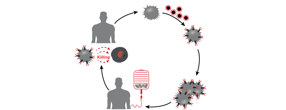 Publication image
