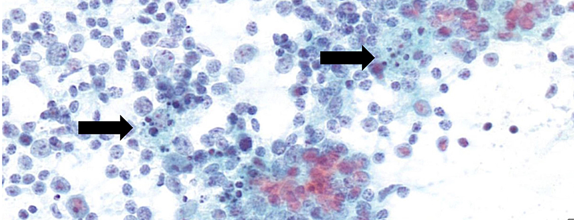 Publication image