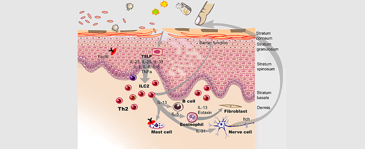 Publication image