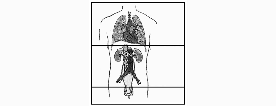 Publication image