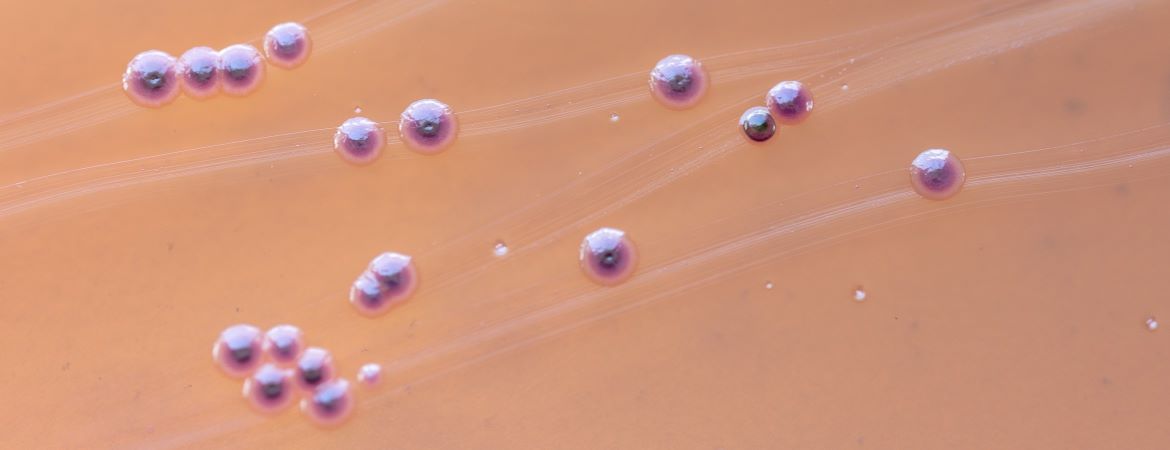 Publication image