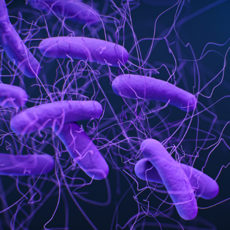 CDC / Antibiotic Resistance Coordination and Strategy Unit; Medical Illustrator: Jennifer Oosthuizen
